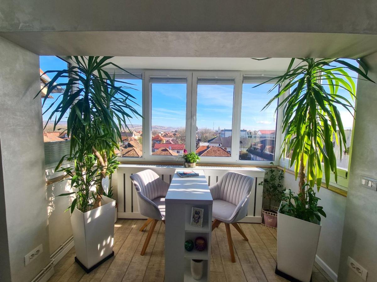 Elisa'S Place Făgăraş Exteriör bild