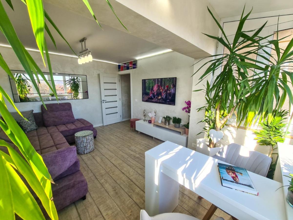 Elisa'S Place Făgăraş Exteriör bild